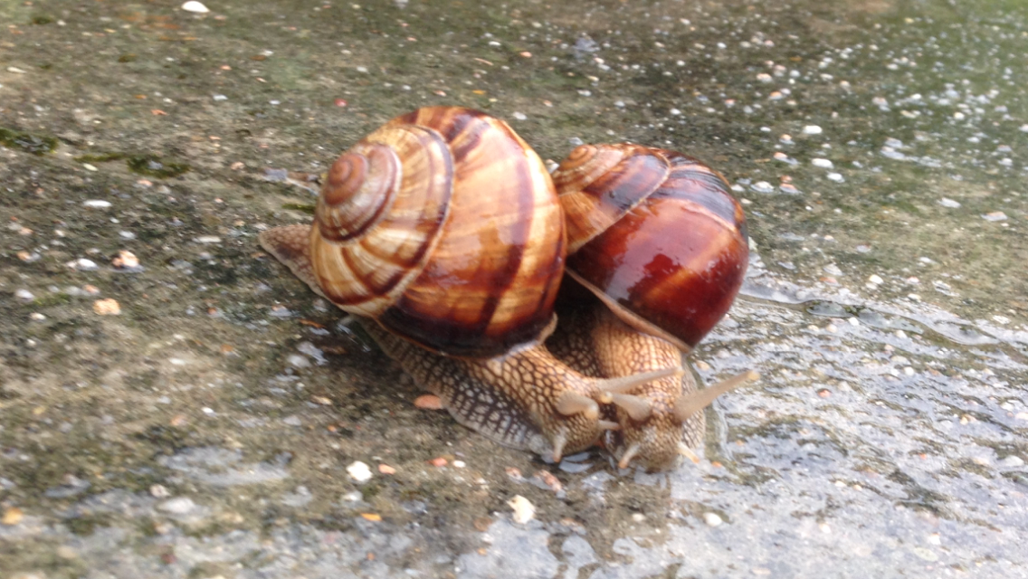 Illustration du témoignage